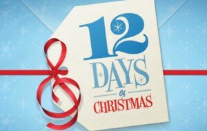 12 Days of Christmas: DAY 11